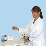 Veterinary Kits